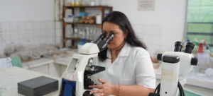 Leia mais sobre o artigo Governo disponibiliza recurso de mais de R$1,2 milhão para fortalecer programas de pós-graduação no MA