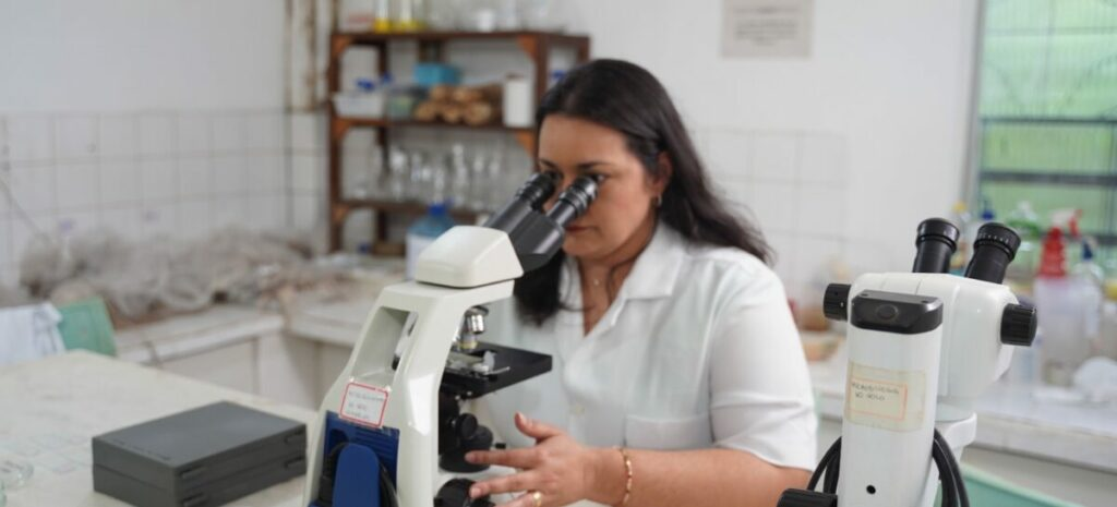 Leia mais sobre o artigo Governo disponibiliza recurso de mais de R$1,2 milhão para fortalecer programas de pós-graduação no MA
