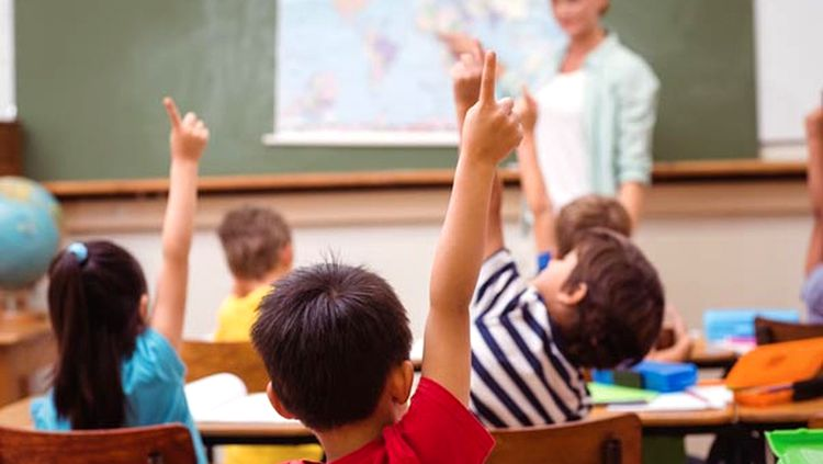Leia mais sobre o artigo MEC abrirá 1,2 milhão de vagas para curso de educação inclusiva